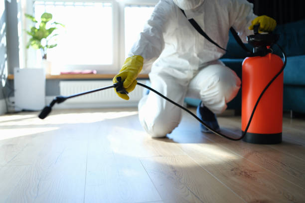 Reliable Sewage Cleanup contractor in Rockville, MN by Trauma Clean Pros